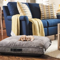 Pierce Furniture & Mattress