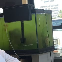Sequoia Institute for Surgical Services - The care you receive is similar to the fish unironically.