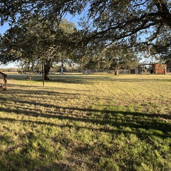 Top Notch Services - Lawn Services Near Me - Caldwell, Texas Top Notch Services - Lawn Services Near Me - Caldwell, Texas