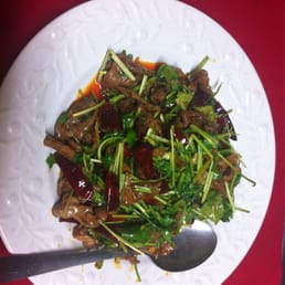 Lamb with Special Chinese Sauce孜然羊肉