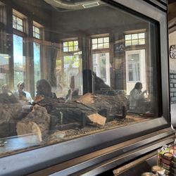 Pegasus Restaurant - Fireplace in the dining room