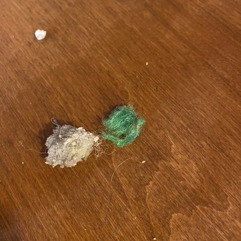 Roman Cucina - Sponge of some sort in my salad, gross! - Italian Near Me - Fullerton, California Roman Cucina - Sponge of some sort in my salad, gross! - Italian Near Me - Fullerton, California