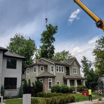 3 Generations Tree Service - Tree Services Near Me 3 Generations Tree Service - Tree Services Near Me