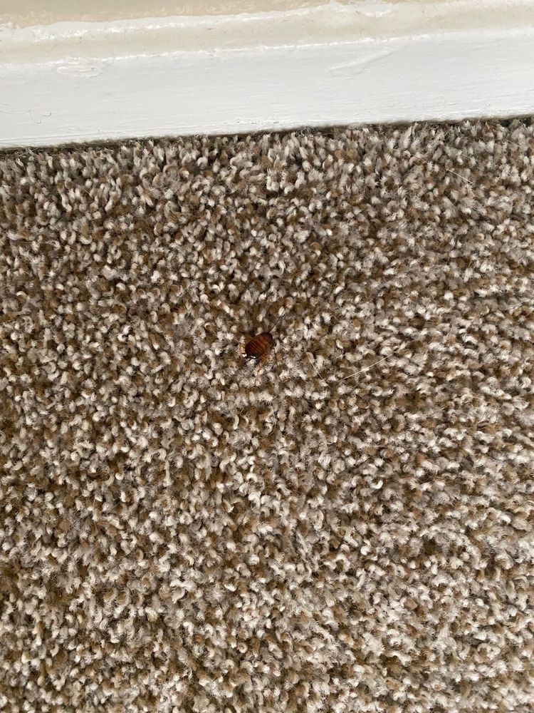 LA VITA APARTMENTS 30 Photos & 40 Reviews 6603 E Lovers Ln, Dallas, Texas Apartments