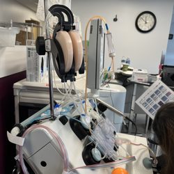 Vitalant Blood Donation- Stonestown