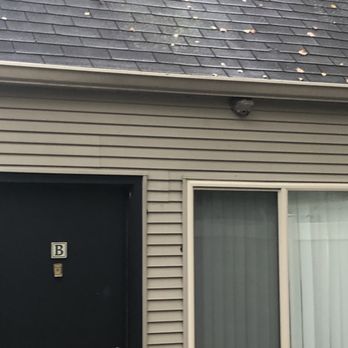 Williams Reserve - Fresh honey.  Hope they aren't allergic to bees. - Apartments Near Me - Palatine, Illinois