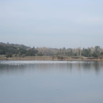 Nimbus Fish Hatchery - Aquariums Near Me - Gold River, California