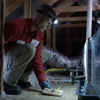 Pinnacle Pest Control - We are Really good at catchin RATS! - Pest Control Near Me - Stockton, California