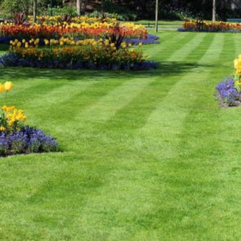 Monkey Guy Tree Service - a picture of a flower garden - Tree Services Near Me Monkey Guy Tree Service - a picture of a flower garden - Tree Services Near Me
