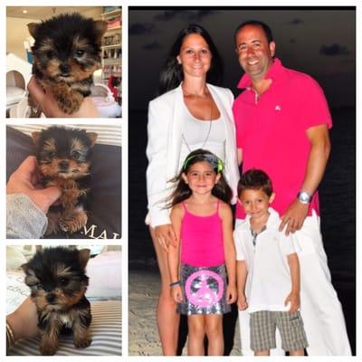 woof woof puppies and boutique