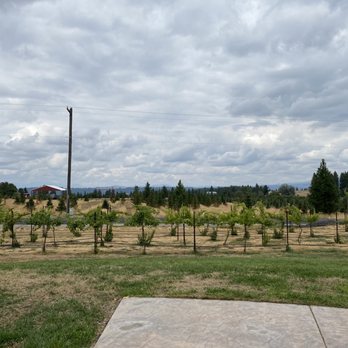 Townshend Cellar - Patio view - Wine Tasting Room Near Me - Spokane, Washington Townshend Cellar - Patio view - Wine Tasting Room Near Me - Spokane, Washington