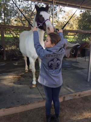 Le Cheval Sport Horses by null