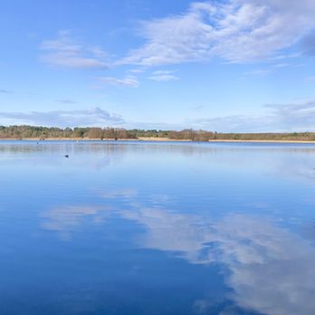 Frensham Great Pond - Great Pond - Lakes Near Me - Churt
