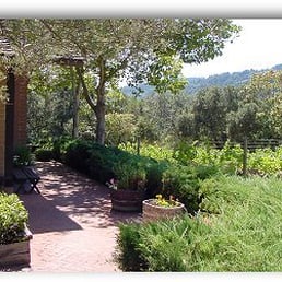 Woodside Vineyard Woodside Vineyard