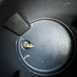 They vacuumed little to nothing in the car