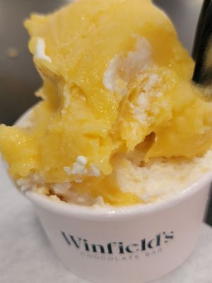 Winfield's Chocolate Bar by null