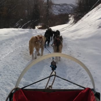 Rancho Luna Lobos - And off we go! - Tours Near Me - Peoa, Utah
