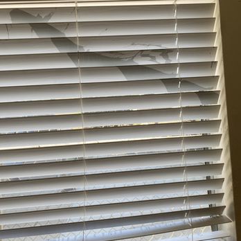 HighPoint Real Estate - Paint spilled all over my shudders - Property Management Near Me - Beverly Hills, California HighPoint Real Estate - Paint spilled all over my shudders - Property Management Near Me - Beverly Hills, California