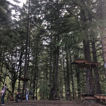 Tree to Tree Adventure Park - Amusement Parks Near Me - Gaston, Oregon