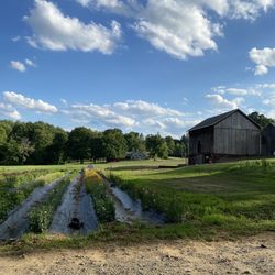 Oxen Hill Farm