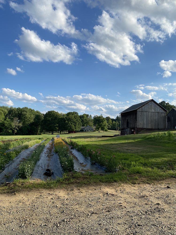 OXEN HILL FARM Updated June 2024 13 Photos 1449 Hill St, Suffield, Connecticut CSA Yelp