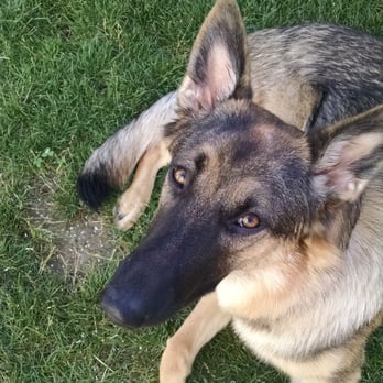 The Pet Clinic - My baby - Veterinarians Near Me - Salem, Oregon