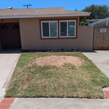 Paez Tree Service - Tree Services Near Me - Anaheim, California Paez Tree Service - Tree Services Near Me - Anaheim, California