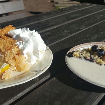 Hermans - A coconut pie of some kind and a blue berry pie - Vegetarian Near Me - Stockholm, Alberta