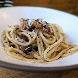 Osteria Georgi - Bucatini. $24. Modified from the original version. No tomato sauce, but instead like a hybrid of carbonara and cacio e pepe, with pancetta.