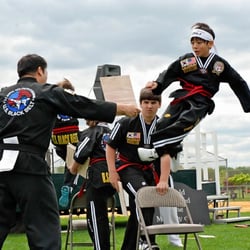 US Black Belt