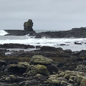 Wild Rover Tours - Tours Near Me - Dublin, D Wild Rover Tours - Tours Near Me - Dublin, D