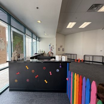 K9 Rox Club - Pet Groomers Near Me - Las Vegas, Nevada K9 Rox Club - Pet Groomers Near Me - Las Vegas, Nevada
