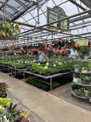 BLACK CREEK GREENHOUSES - Updated January 2026 - 41 Photos & 39 Reviews ...