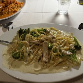Matteo's Trattoria - Chicken Alfredo w broccoli - Italian Near Me - Hallandale, Florida Matteo's Trattoria - Chicken Alfredo w broccoli - Italian Near Me - Hallandale, Florida