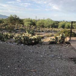 Cactus Cove Bed & Breakfast Inn