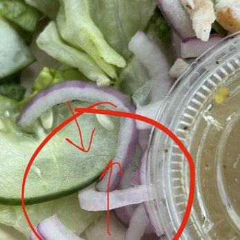 Panera Bread - Black hair in salad - Sandwiches Near Me - Uniontown, Pennsylvania Panera Bread - Black hair in salad - Sandwiches Near Me - Uniontown, Pennsylvania