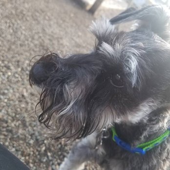 Alpha Valley Boarding Kennel - Shy sweethearts just need hugs and we're happy to give them. - Pet Boarding Near Me - Phoenix, Oregon Alpha Valley Boarding Kennel - Shy sweethearts just need hugs and we're happy to give them. - Pet Boarding Near Me - Phoenix, Oregon