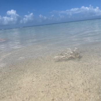 Jungla Beach - Beaches Near Me - Guanica, Puerto Rico