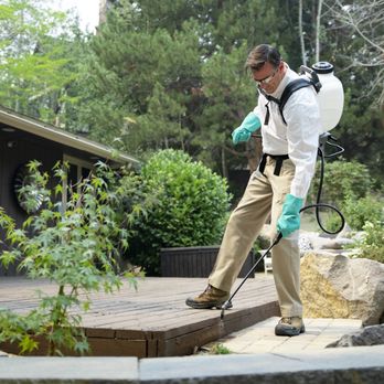 Pestmaster of Miami - Pest Control Near Me - Miami, Florida Pestmaster of Miami - Pest Control Near Me - Miami, Florida