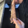 Photo of Mulberry Barbecue