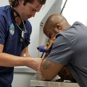 Williamsburg Veterinary Clinic - Veterinarians Near Me - Brooklyn, New York Williamsburg Veterinary Clinic - Veterinarians Near Me - Brooklyn, New York