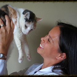 Prairie View Animal Hospital