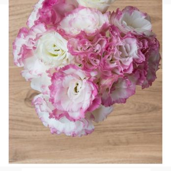 Fresh Flowers - Florists Near Me - San Jose, California Fresh Flowers - Florists Near Me - San Jose, California