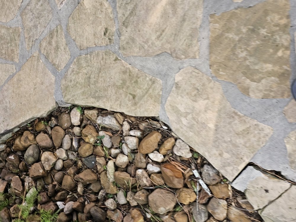 Slide of Orion's Rain