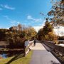 Photo of Falling Waters Trail