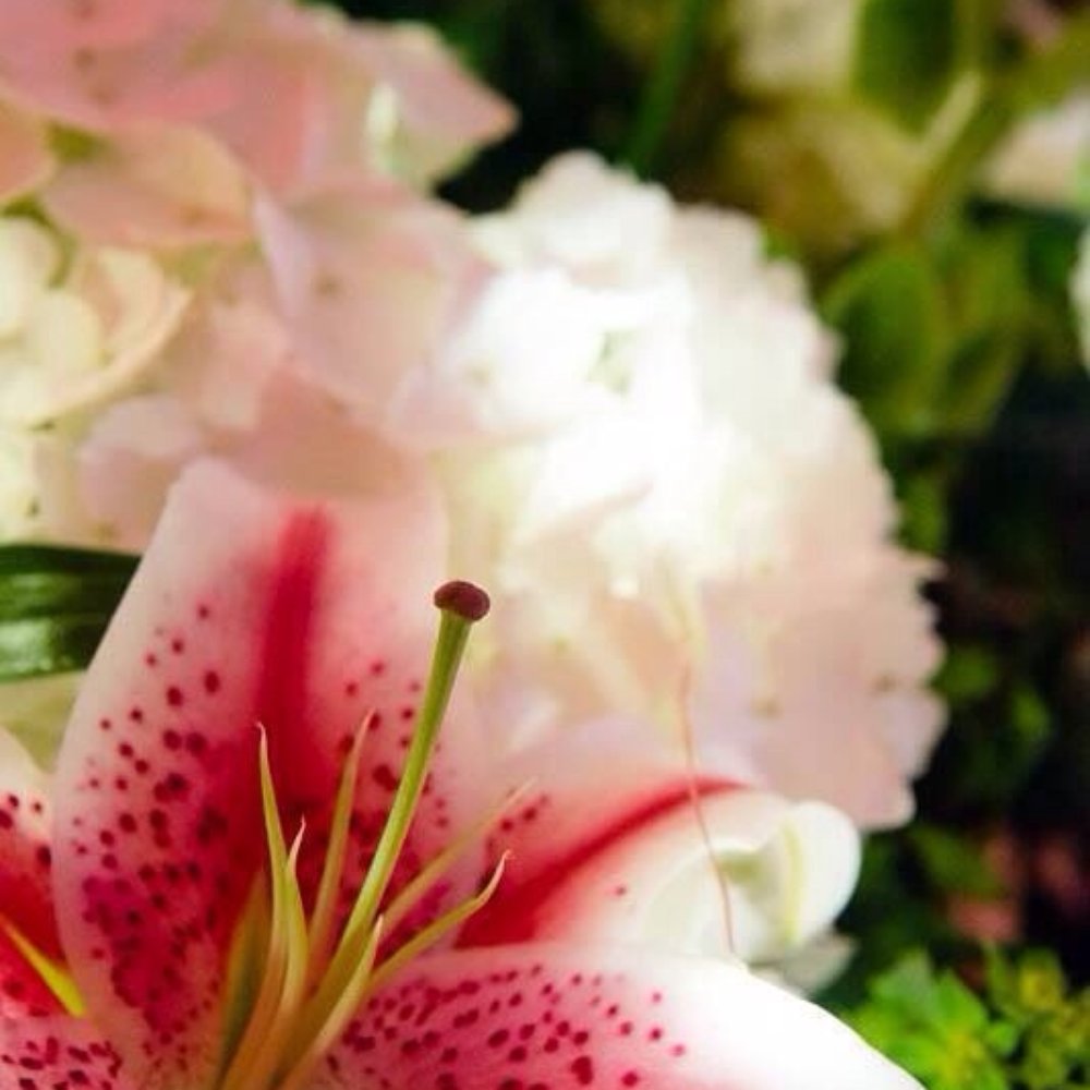 Great Falls Florist - Florists Near Me - Great Falls, Virginia