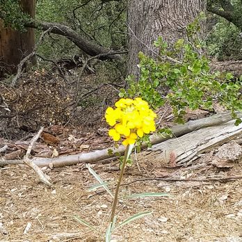 Ernie Maxwell Scenic Trail - Hiking Near Me