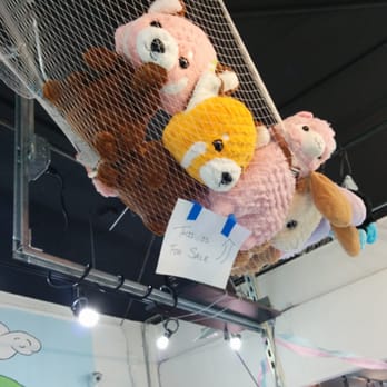 Leftover Stuffed Animals Dangling Onto The Net Yelp