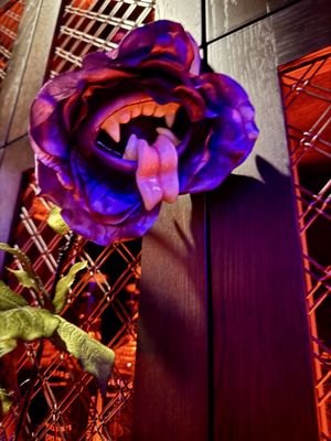 Weiss Distilling Co. by null