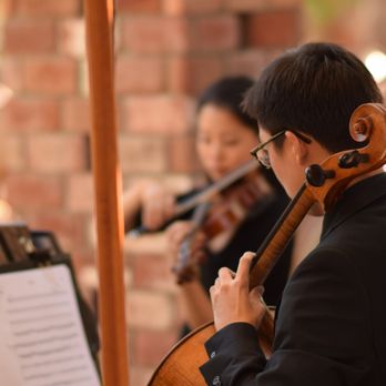 Subito Strings - Subito Strings Duo - Musicians Near Me Subito Strings - Subito Strings Duo - Musicians Near Me